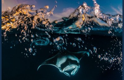 Radisson Blu Maldives image shortlisted for Monaco environmental award
