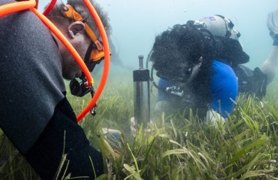 Six Senses Kanuhura participates in international COASTS Project on blue carbon ecosystems